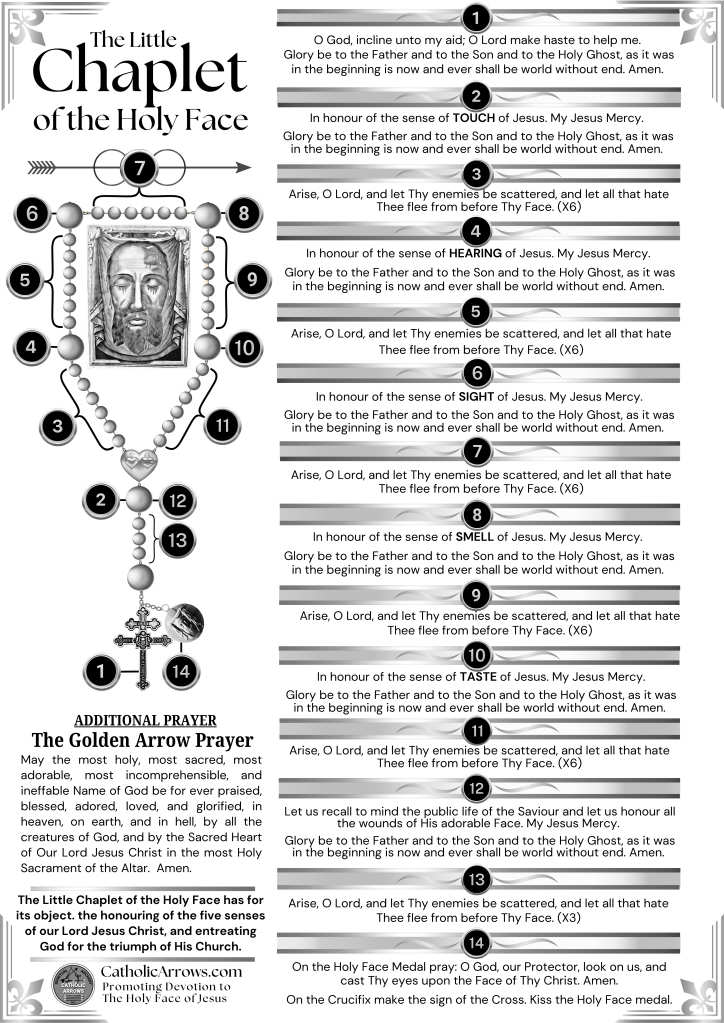 Download the Chaplet of the Holy Face
