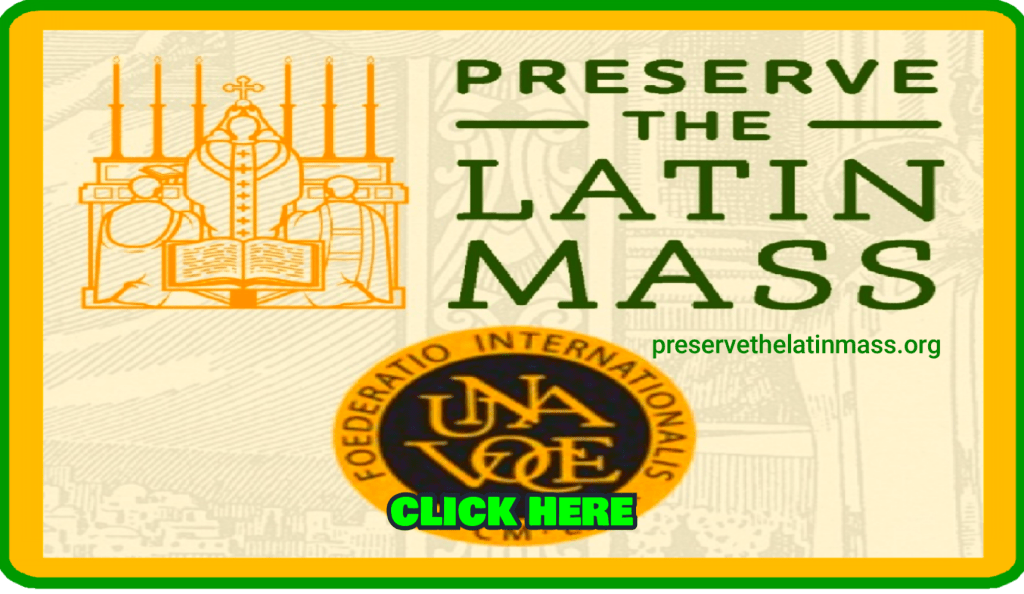 Traditional Latin Mass preserve catholic traditions, reverence and piety. 